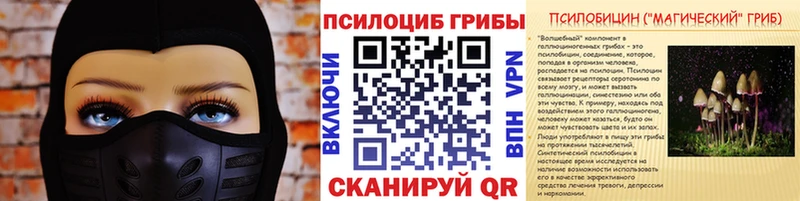 Галлюциногенные грибы Cubensis  Купить где  Болхов 